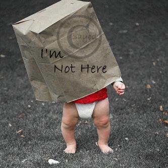 Očitovanje na Prijedlog strategije razvoja javne uprave 2014. – 2020.