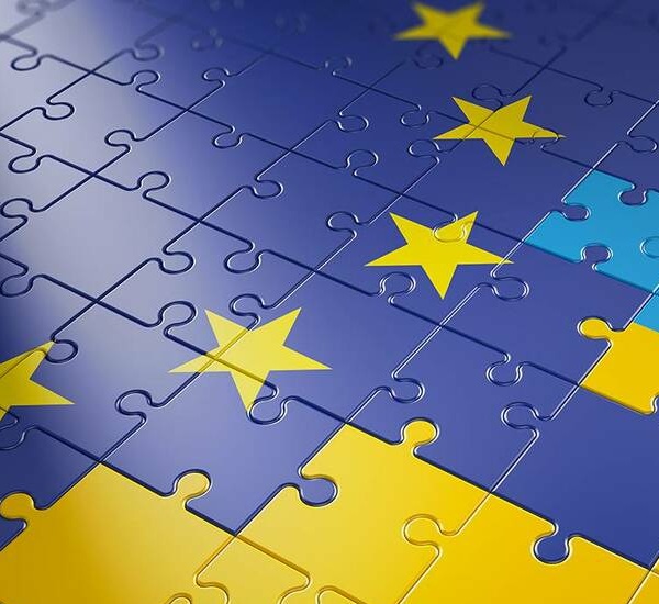 EGTS u funkciji razvojne politike jedinica lokalne samouprave