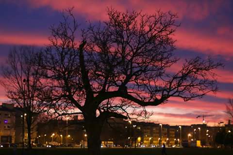 Ministarstva se očitovala o potrebnom broju zaposlenih osoba s invaliditetom u gradskim upravama