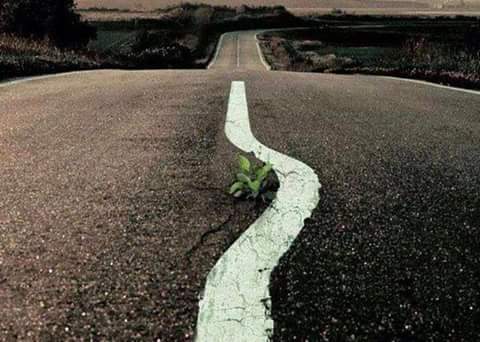 Nada(j)mo se brzom rješavanju (i) ovog problema