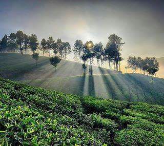 Info brošura o zelenoj javnoj nabavi