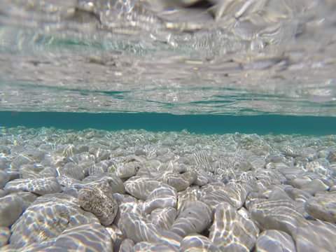 Zakon o lokalnoj i područnoj (regionalnoj) samoupravi dostavljen na očitovanje