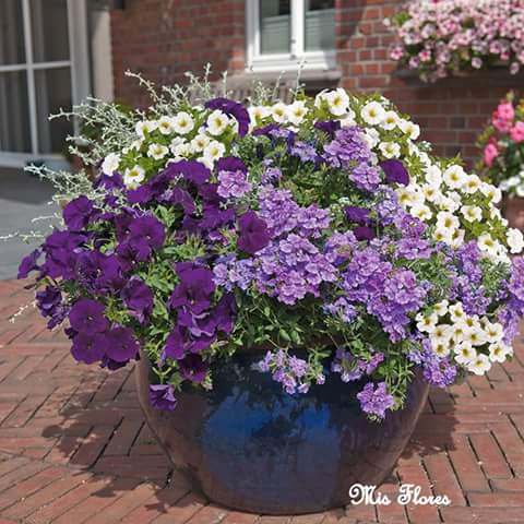 Prezentacije s obuka komunalnih redara