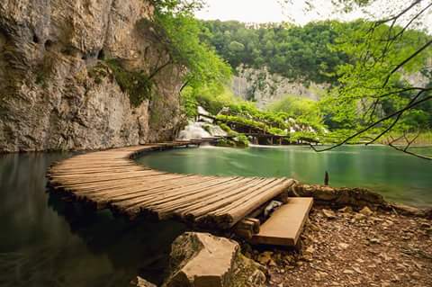 Vlada usvojila Nacionalni akcijski plan za zelenu javnu nabavu