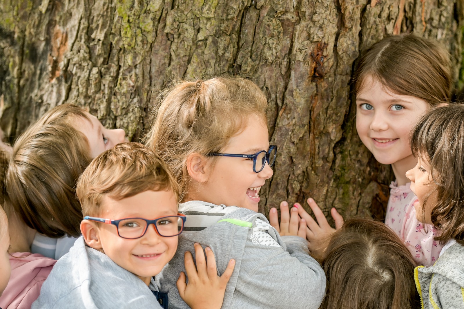 Održan prvi varaždinski Festival stabala