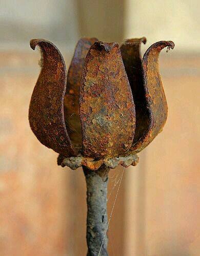 Imamo Kodeks ponašanja vijećnika