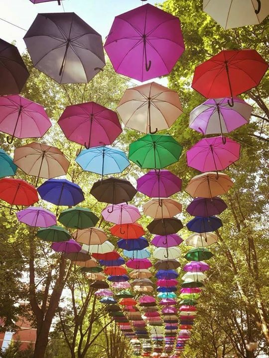 Prezentacije i obrasci s obuke komunalnih redara