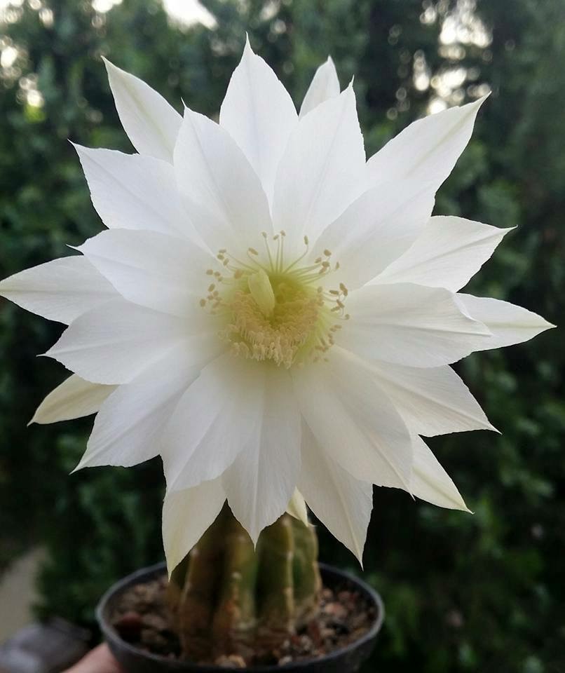 Online seminar o novom Zakonu o gospodarenju otpadom