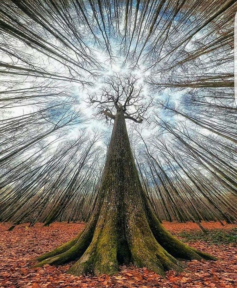 Zakon o službenicima i namještenicima se mijenja i dopunjuje