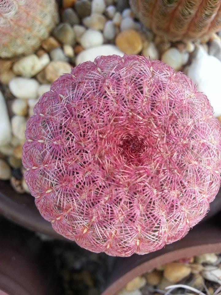 Anketa ”Kako gradovi komuniciraju s građanima” – odgovoriti možete još danas, 9. listopada do kraja dana!