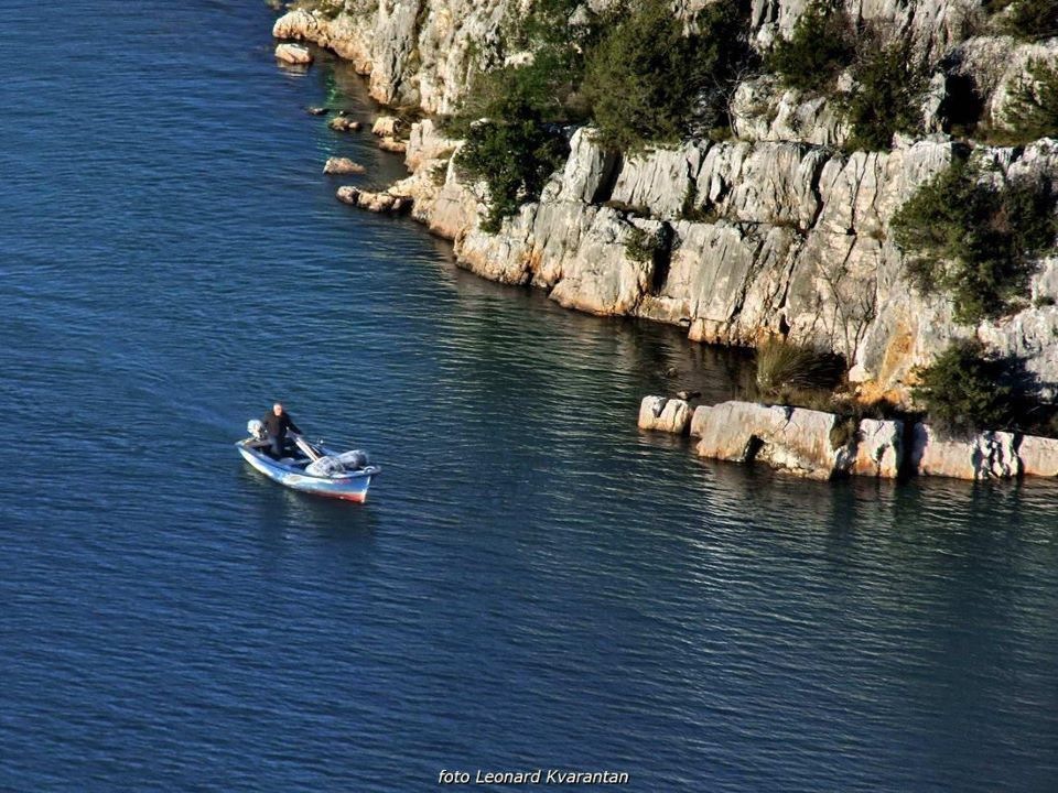 Ljetna akademija članova savjeta mladih u Labinu