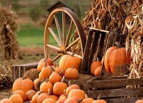 RAZBOR – ov bilten s korisnim informacijama o EU fondovima