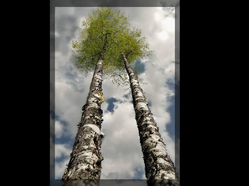 Očitovanje na Strategiju razvoja javne uprave