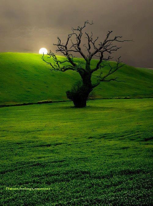 Krijesnica donosi nadu i svjetlo