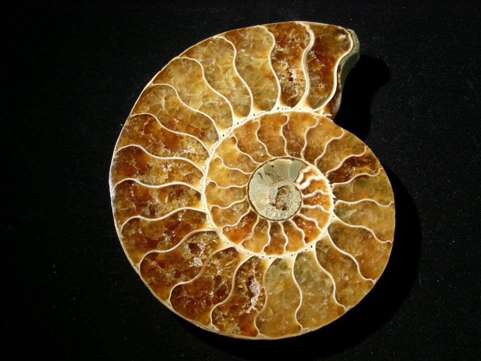 Dvije jednodnevne radionice – programa usavršavanja u javnoj nabavi u svibnju