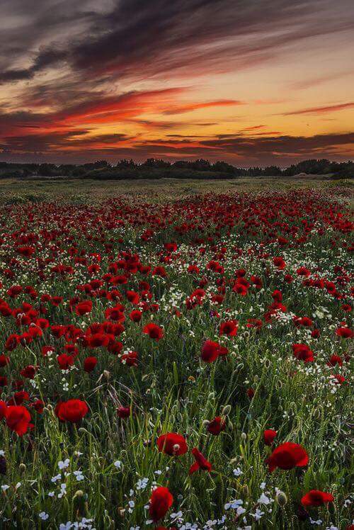 Drugi Hrvatski ruralni parlament završen usvajanjem Deklaracije