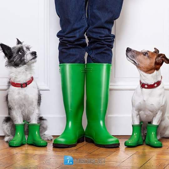 Obuke komunalnih redara u Jaski, ali i u Opatiji i Varaždinu