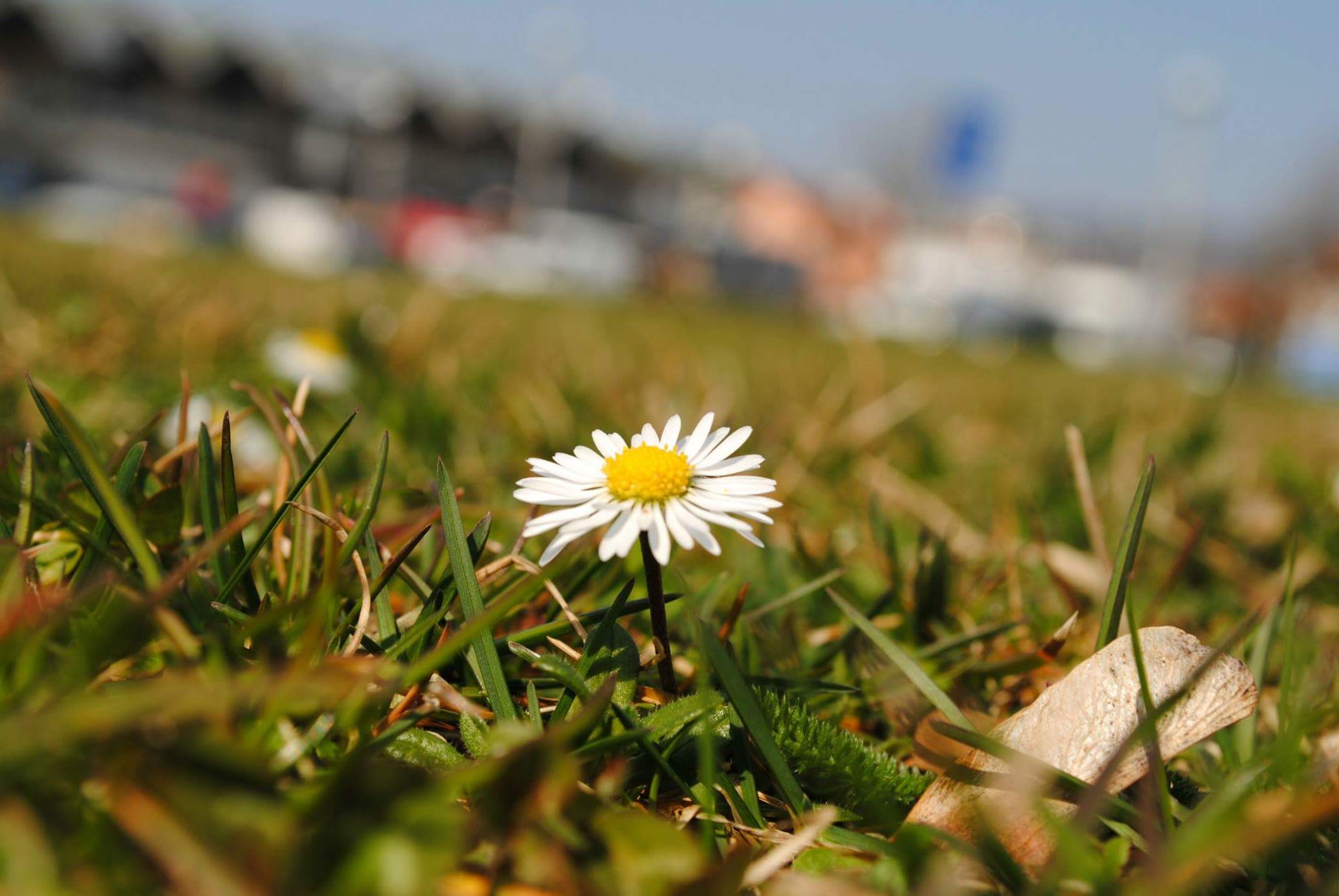 Odlagališta se (uskoro) zatvaraju – saznajte kada