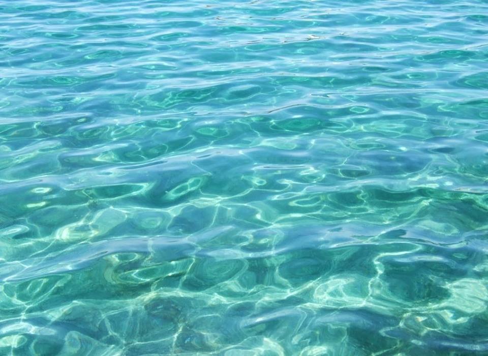 Savjetovanje o lokalnoj samoupravi – Poreč!