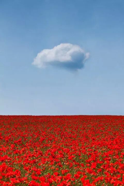 Izmjene Zakona o područnom ustrojstvu u postupku javnog savjetovanja