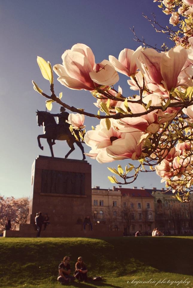 Mijenja se Uredba o Tarifi upravnih pristojbi