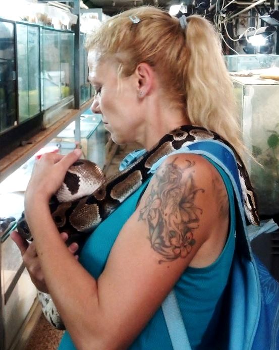 Dva nova i malo drugačija članka