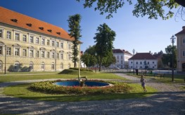 Vizija: Karlovačka Zvijezda – Art kvart