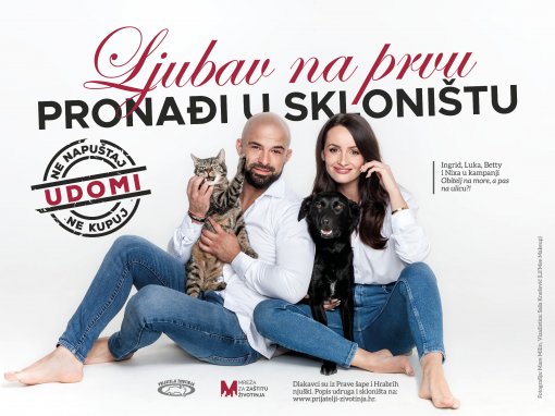 Kampanja „Obitelj na more, a pas na ulicu?!” već 18 godina poziva na udomljavanje i odgovornost