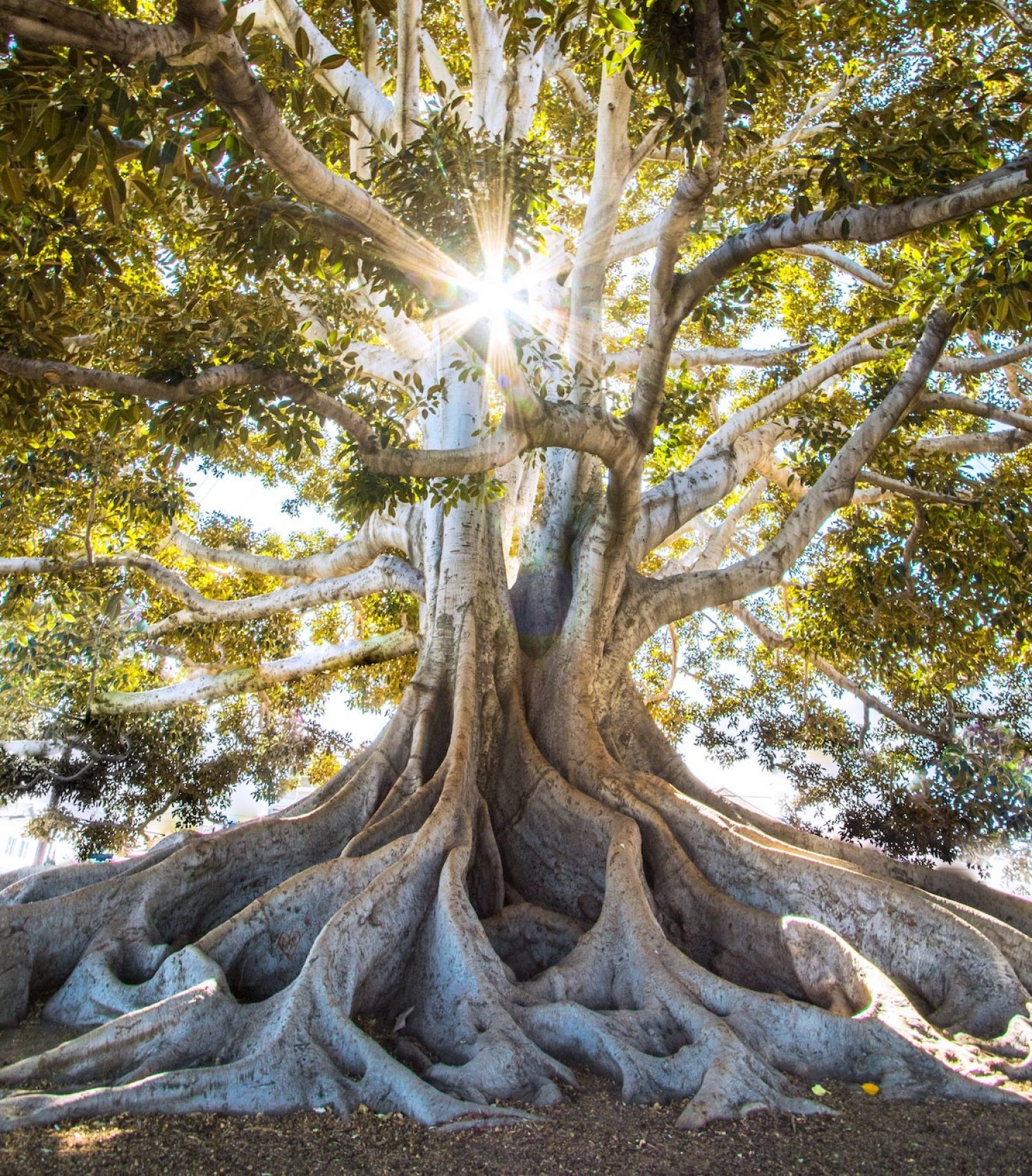 Epoha zdravlja – novi broj glasila