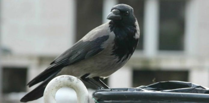 Ministarstvo bi podatke