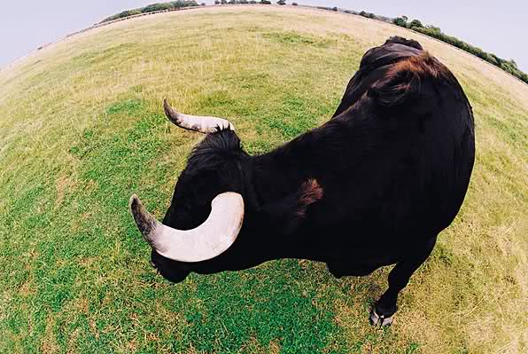 Novelirane i dopunjene prezentacije s obuka komunalnih redara te obrasci akata!