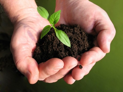 O zemljištu s ministrom