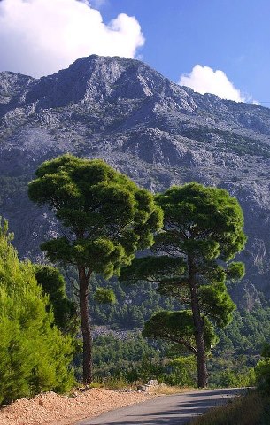 Od drva do namještaja