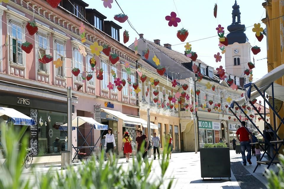 Natječaj za Lokalni program u Čakovcu – prijave do 24. siječnja