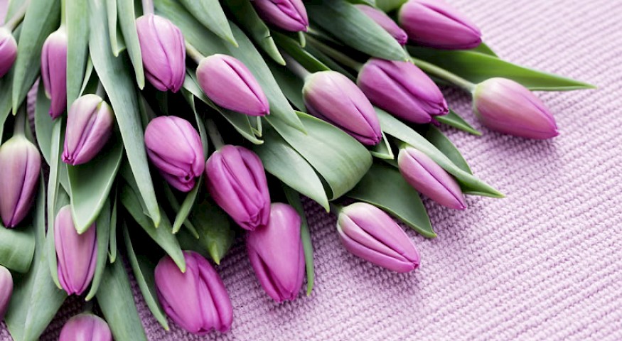 Budući Zakon o pravima hrvatskih branitelja kreće u proceduru