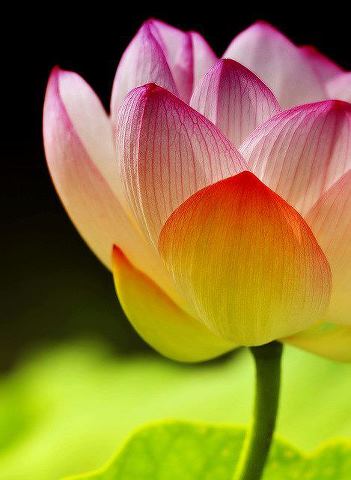 Medijska pismenost je važna uvijek, svugdje i svima!