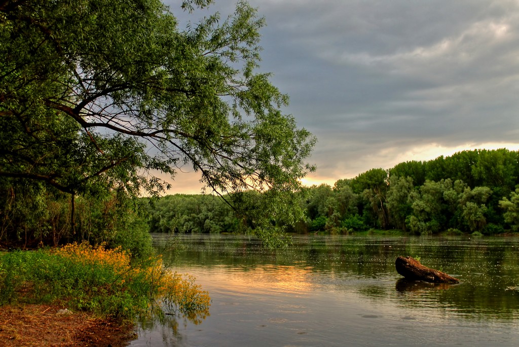 Javno savjetovanje o suradnji gradova i organizacija civilnoga društva