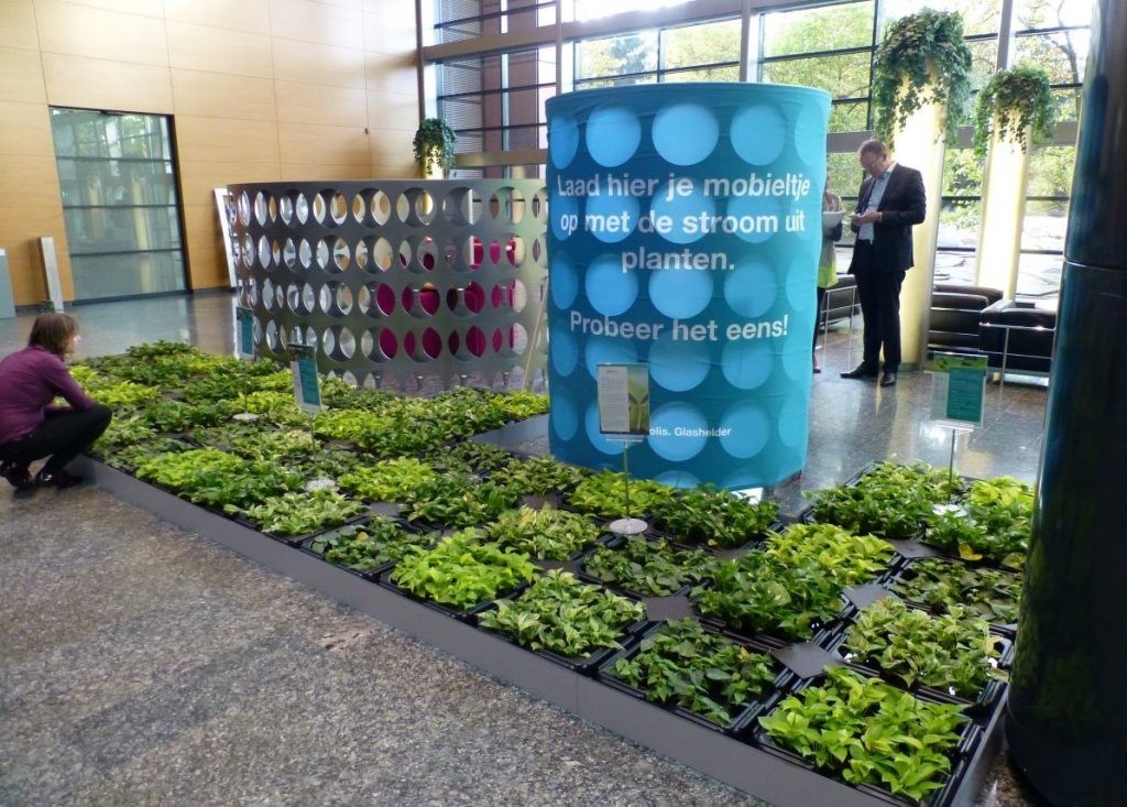 Wi-Fi biljke iz Nizozemske