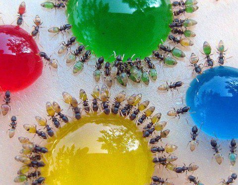 Obuke savjeta mladih u općinama, gradovima i županijama