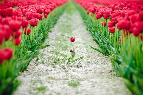 Provjerite podatke o prikupljenom komunalnom otpadu