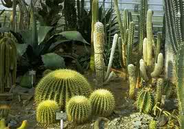 Prikupljanje podataka u vezi predmeta u postupku pred Državnim uredom za upravljanje državnom imovinom – podaci, traže se žurno