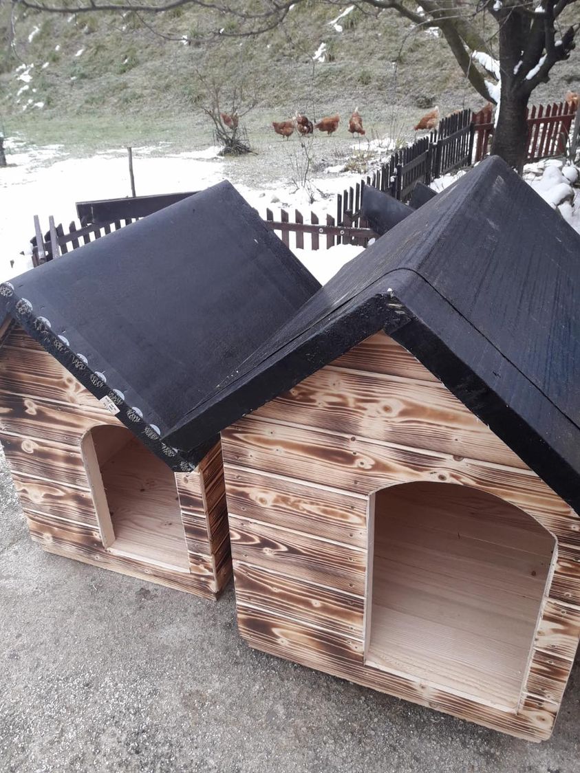 I oni trebaju vašu pomoć