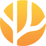 Projekt Girls own STEM