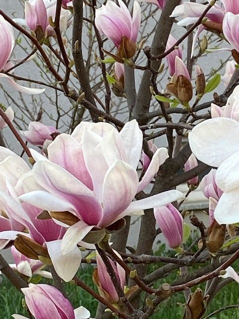 Udruga gradova očitovala se na Nacrt prijedloga zakona o grobljima