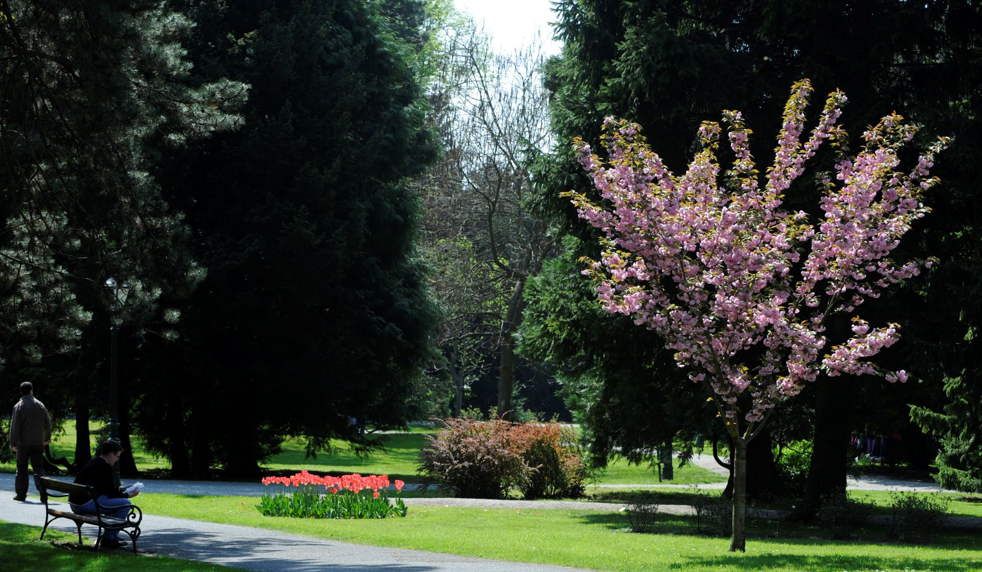 Varaždin je europski grad stabala 2024. Čestitamo!