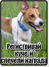 Registriraj psa i osvoji nagradu – zanimljiva ideja iz bugarskog Plovdiva