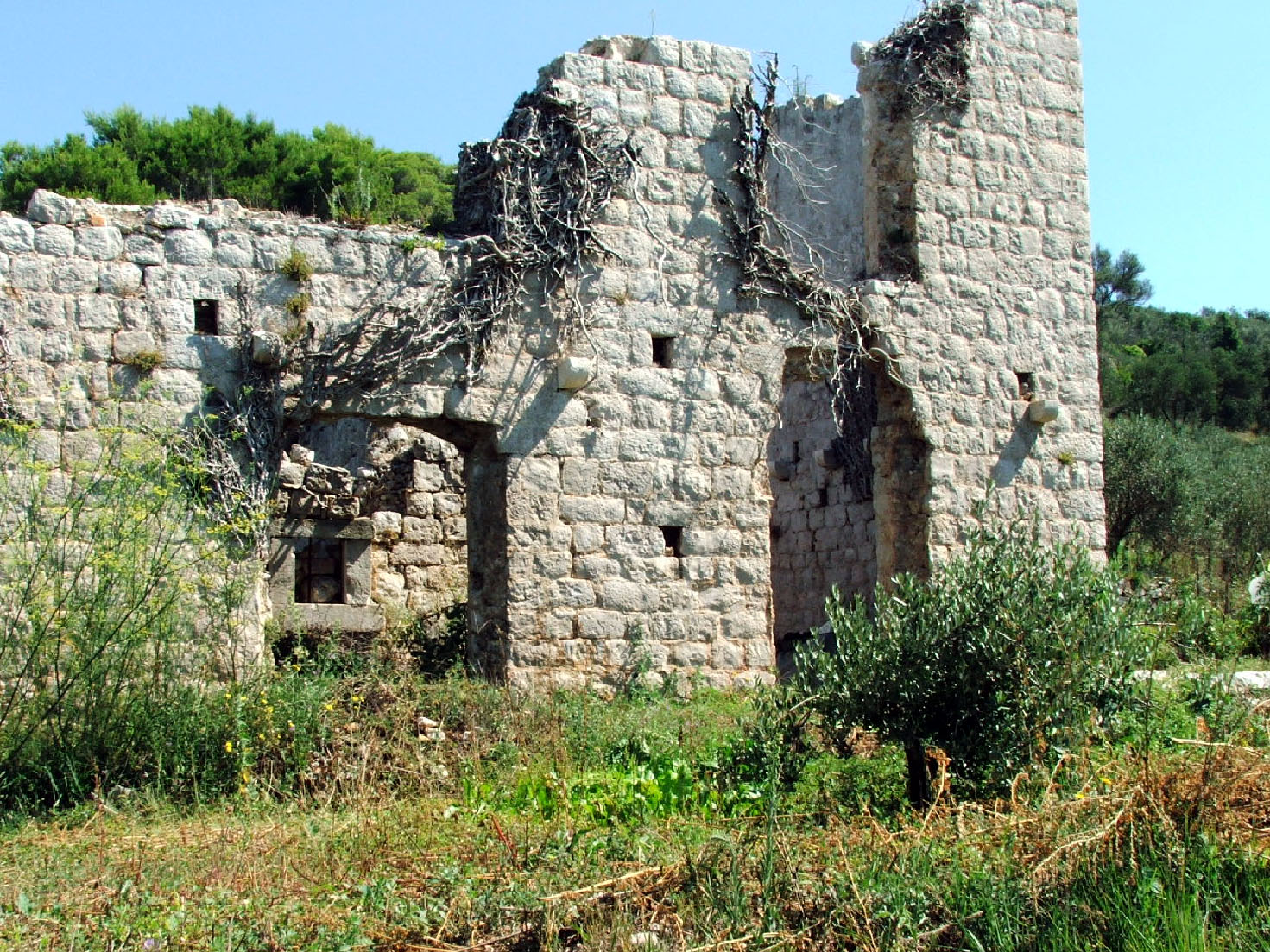 Najava natječaja za promicanje održivog korištenja prirodne baštine