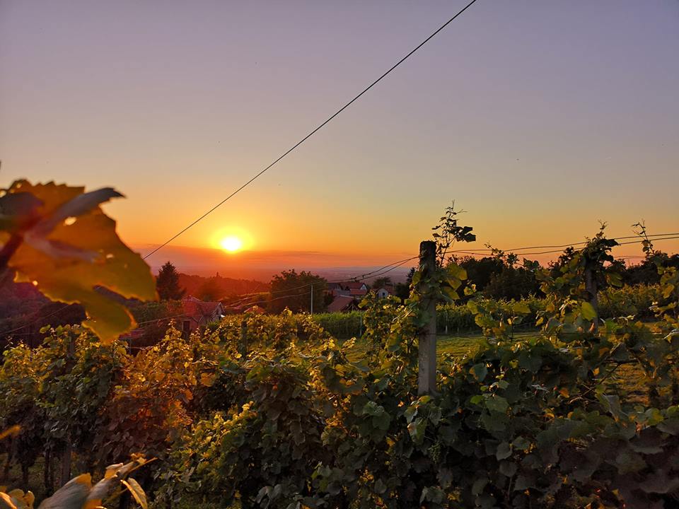 “Odrazi se znanjem – pokreni zajednicu” – Fakulteti i udruge zajedno za održivi razvoj lokalnih zajednica