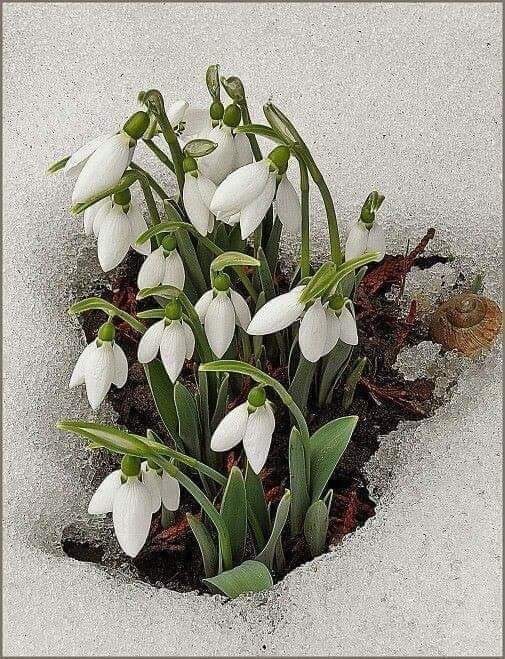 Objavljen 16. broj novosti INFO Udruga gradova