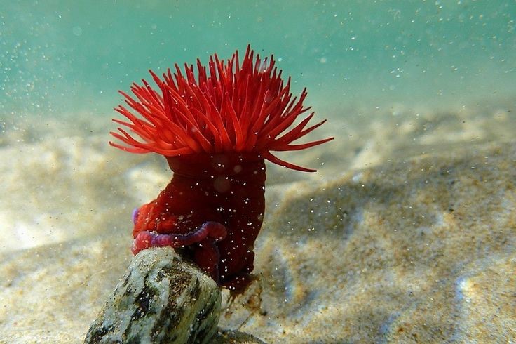 Nastavljamo sa “Svijetom oko nas”